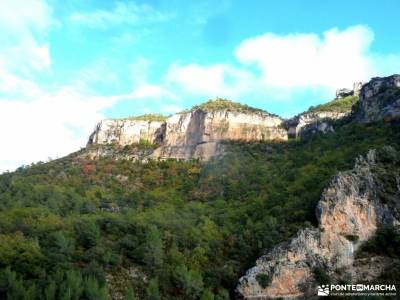 ruta de las caras camino del rey malaga lavanda amigos la granja de san ildefonso islas azores